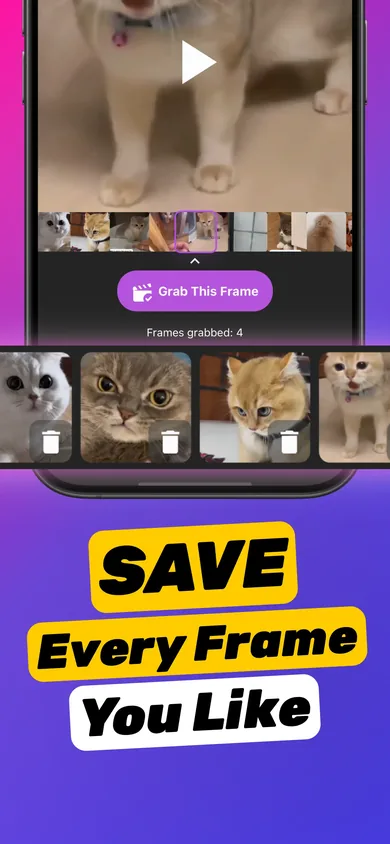 Grab This Frame button with a tray of four grabbed frames from a cat video