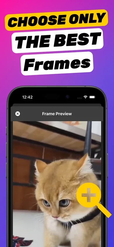 Frame Preview screen zooming into a grabbed video frame