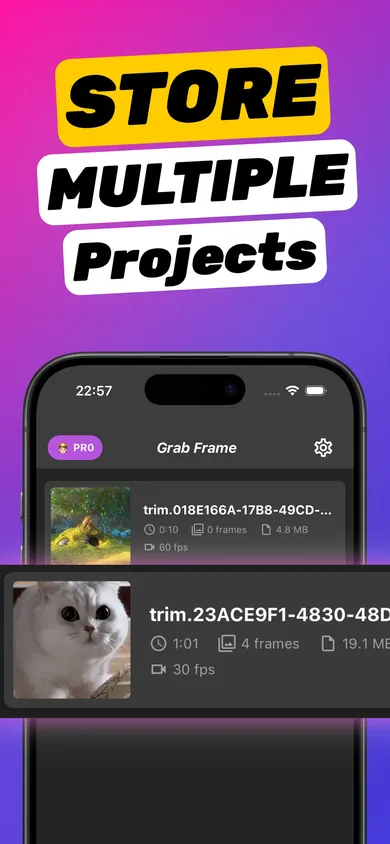 Projects list showing saved videos with duration, frame count, size and fps